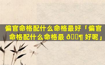 偏官命格配什么命格最好「偏官命格配什么命格最 🐶 好呢」
